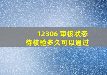 12306 审核状态 待核验多久可以通过